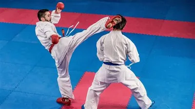 Martial Arts Styles - Tier Flock | Tier Flock